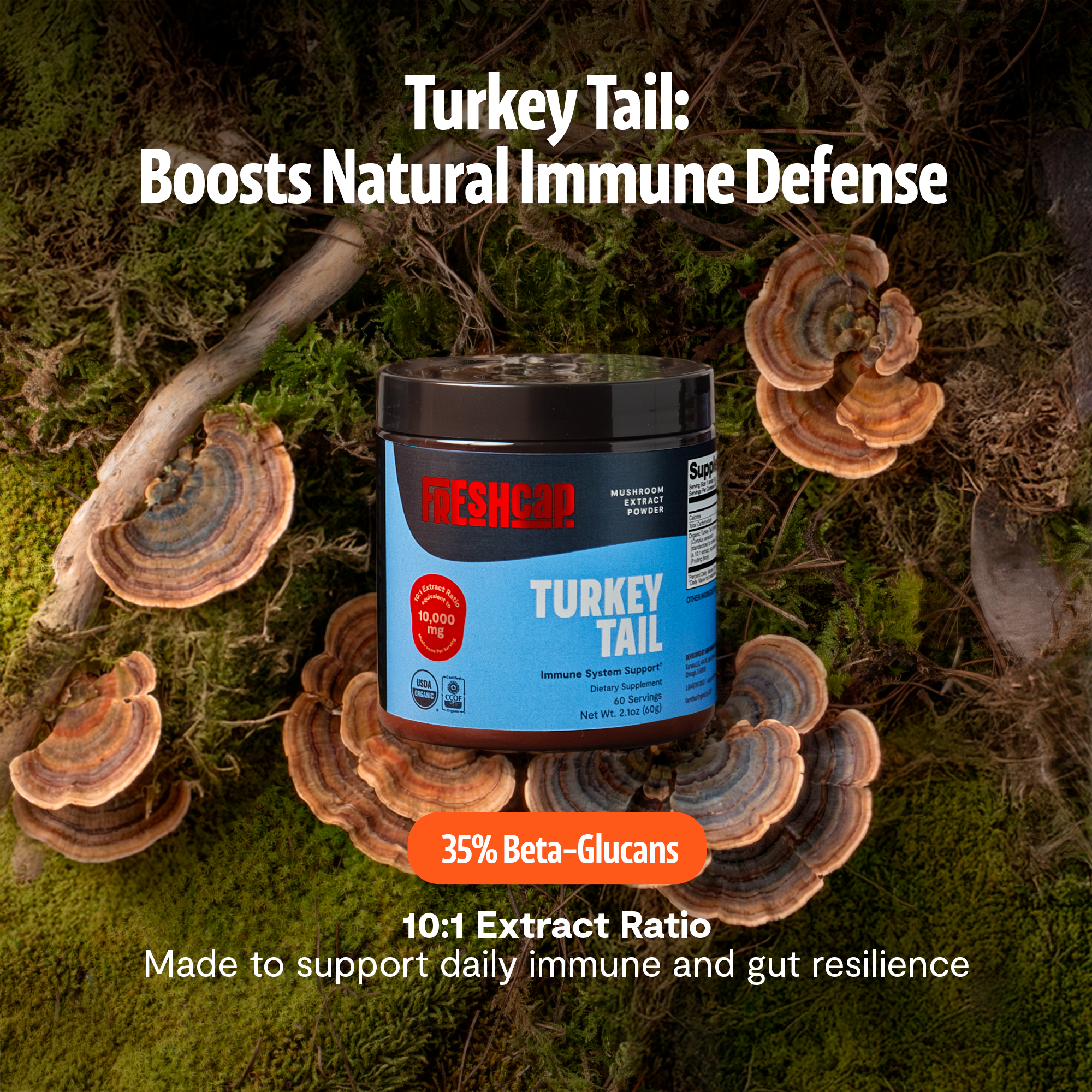 Organic Turkey Tail Mushroom Powder