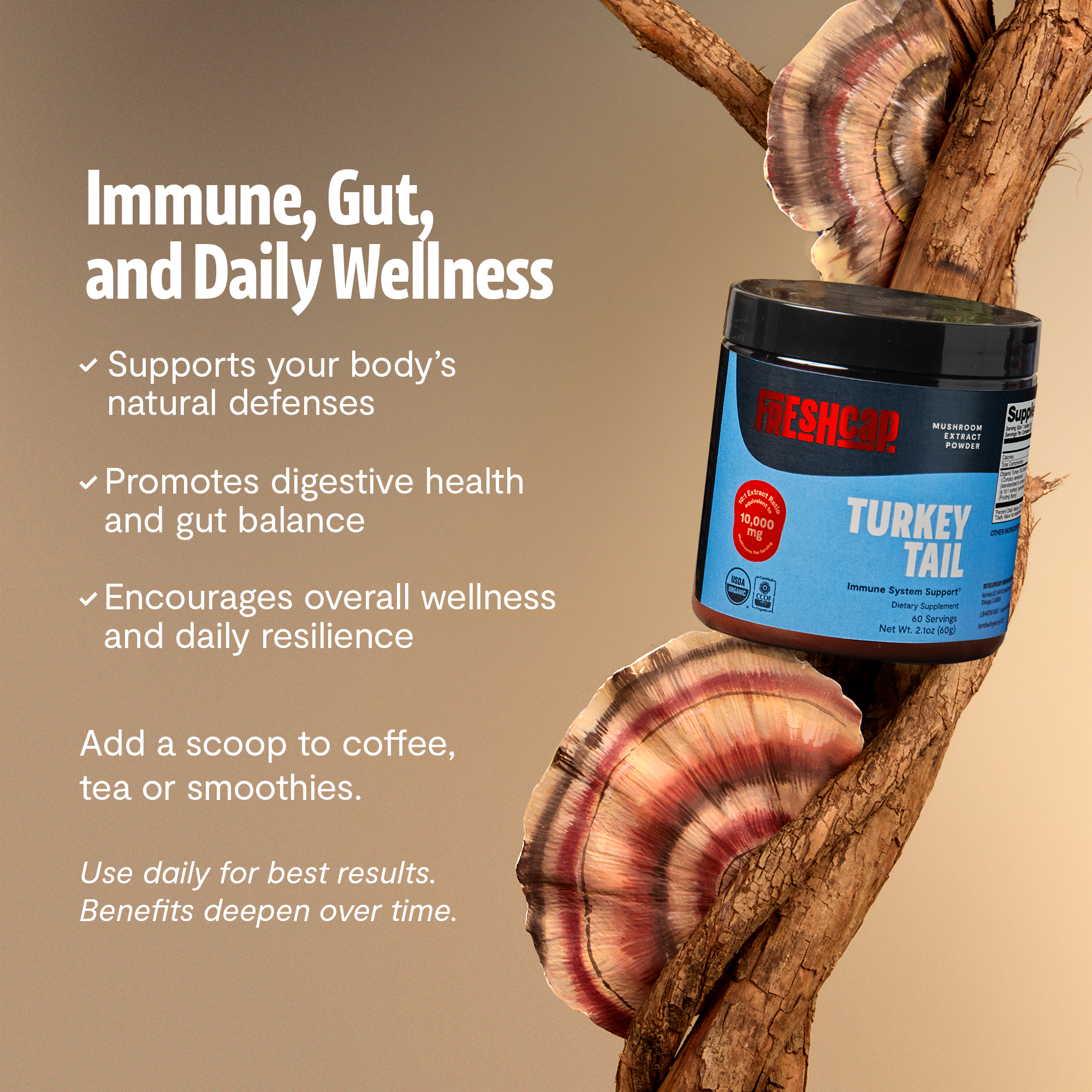 Organic Turkey Tail Mushroom Powder