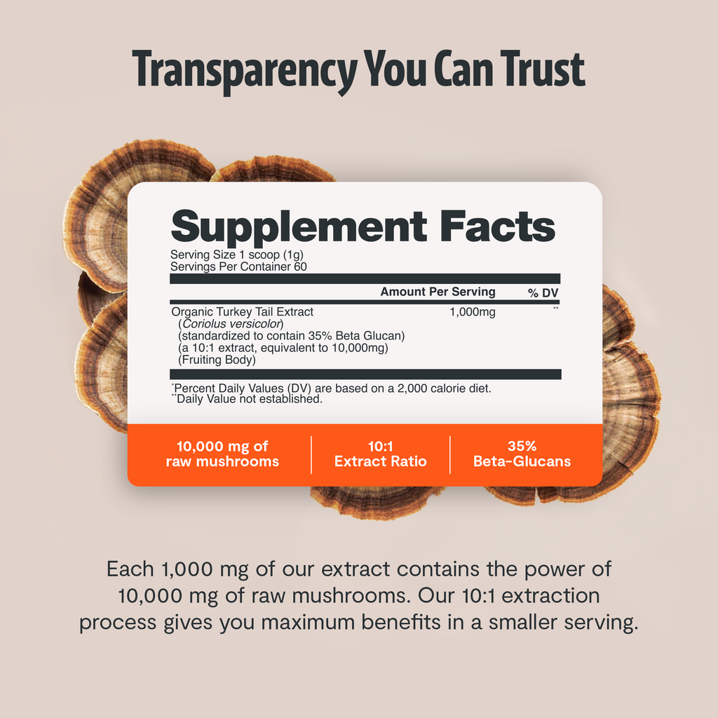 Organic Turkey Tail Mushroom Powder