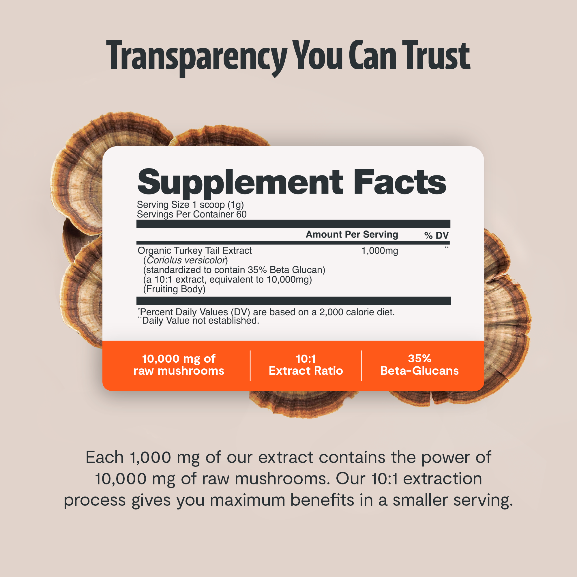 Organic Turkey Tail Mushroom Powder