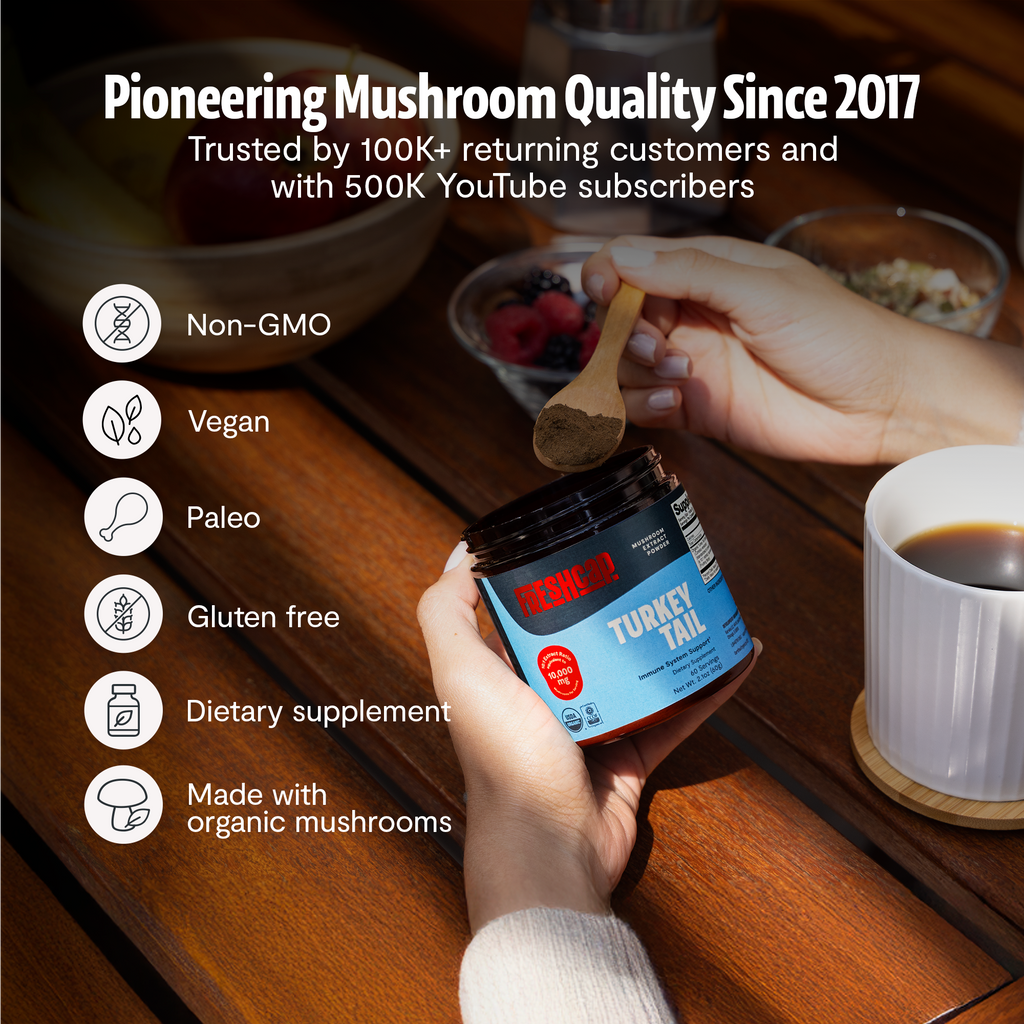 Organic Turkey Tail Mushroom Powder