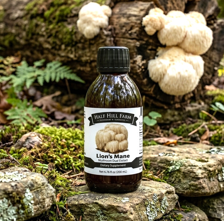 Lion's Mane Mushroom Dual Extract