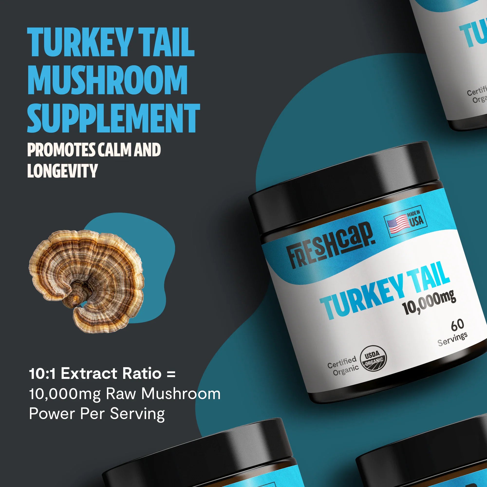 Organic Turkey Tail Mushroom Powder