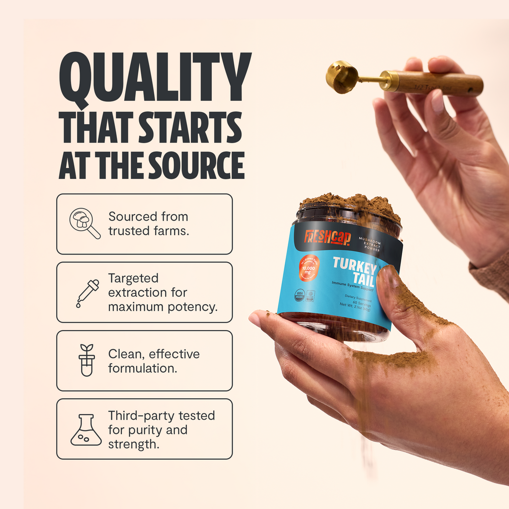 Organic Turkey Tail Mushroom Powder