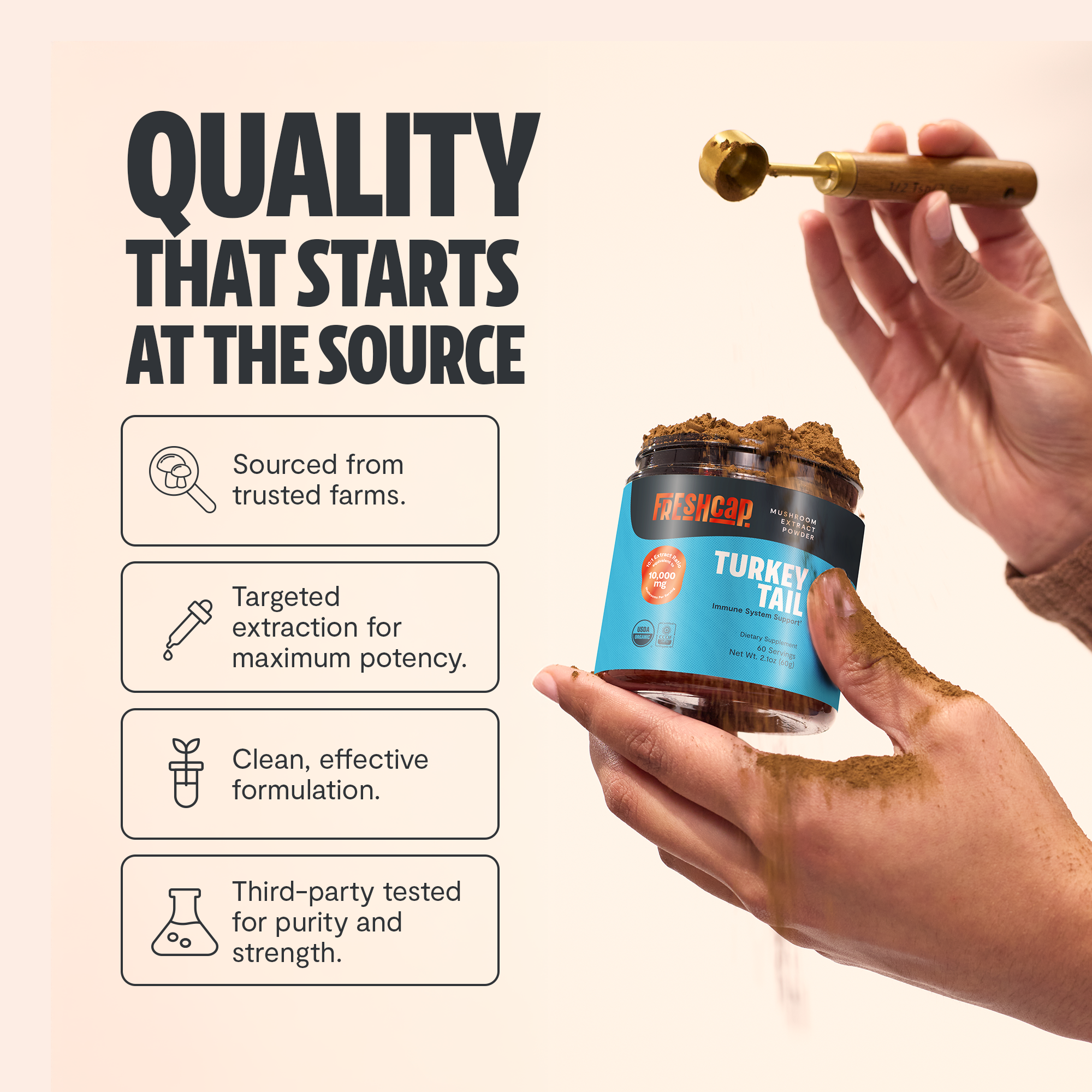 Organic Turkey Tail Mushroom Powder