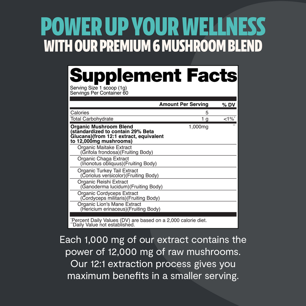 Organic Mushroom Extract Powder Blend