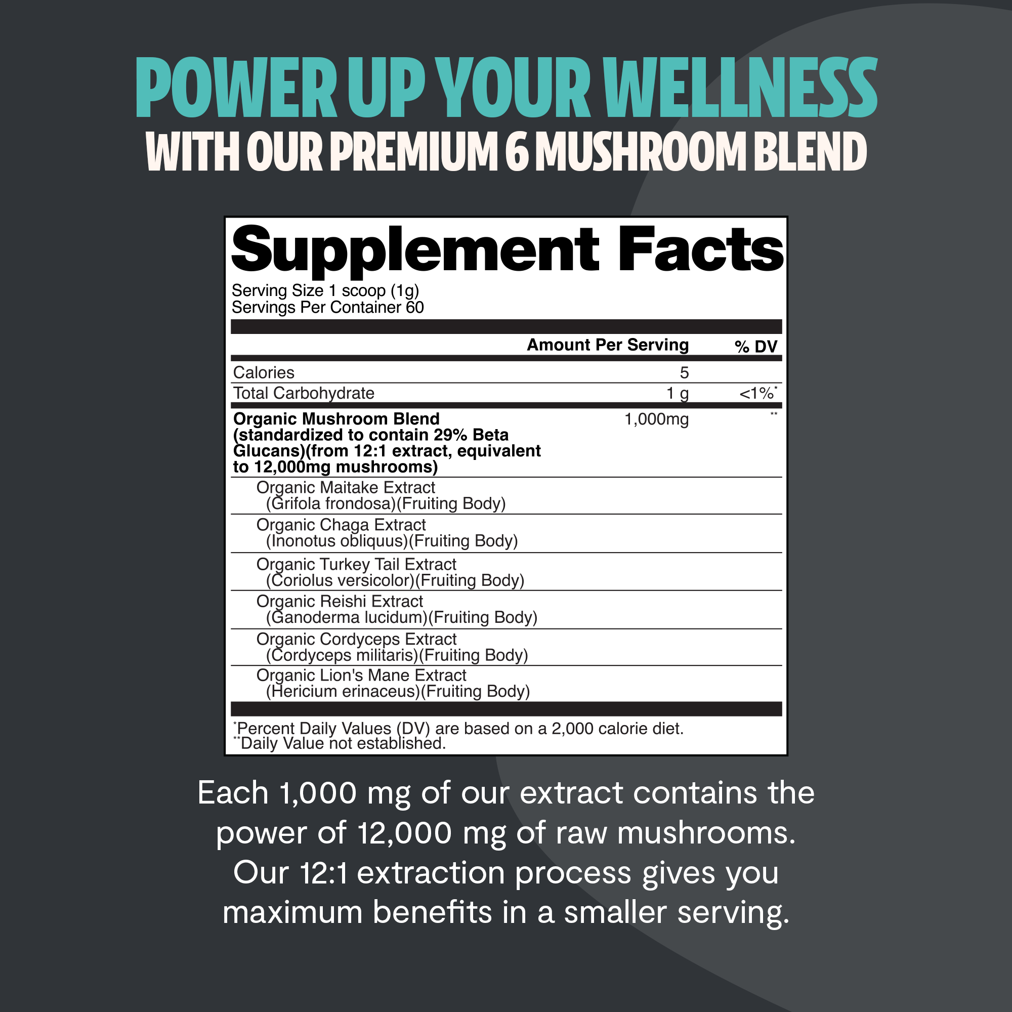 Organic Mushroom Extract Powder Blend