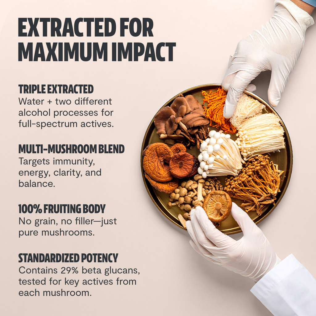 Organic Mushroom Extract Powder Blend