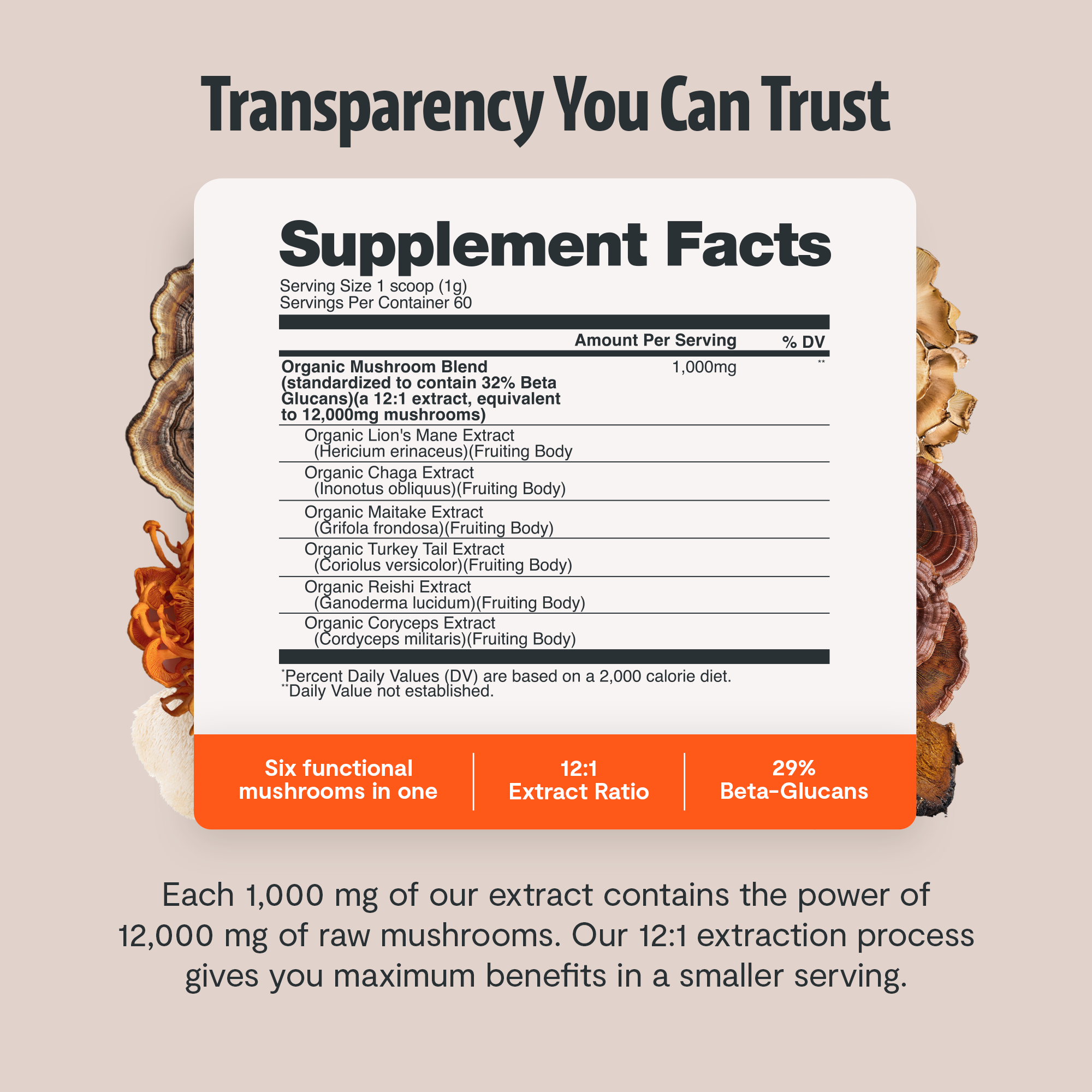 Organic Mushroom Extract Powder Blend