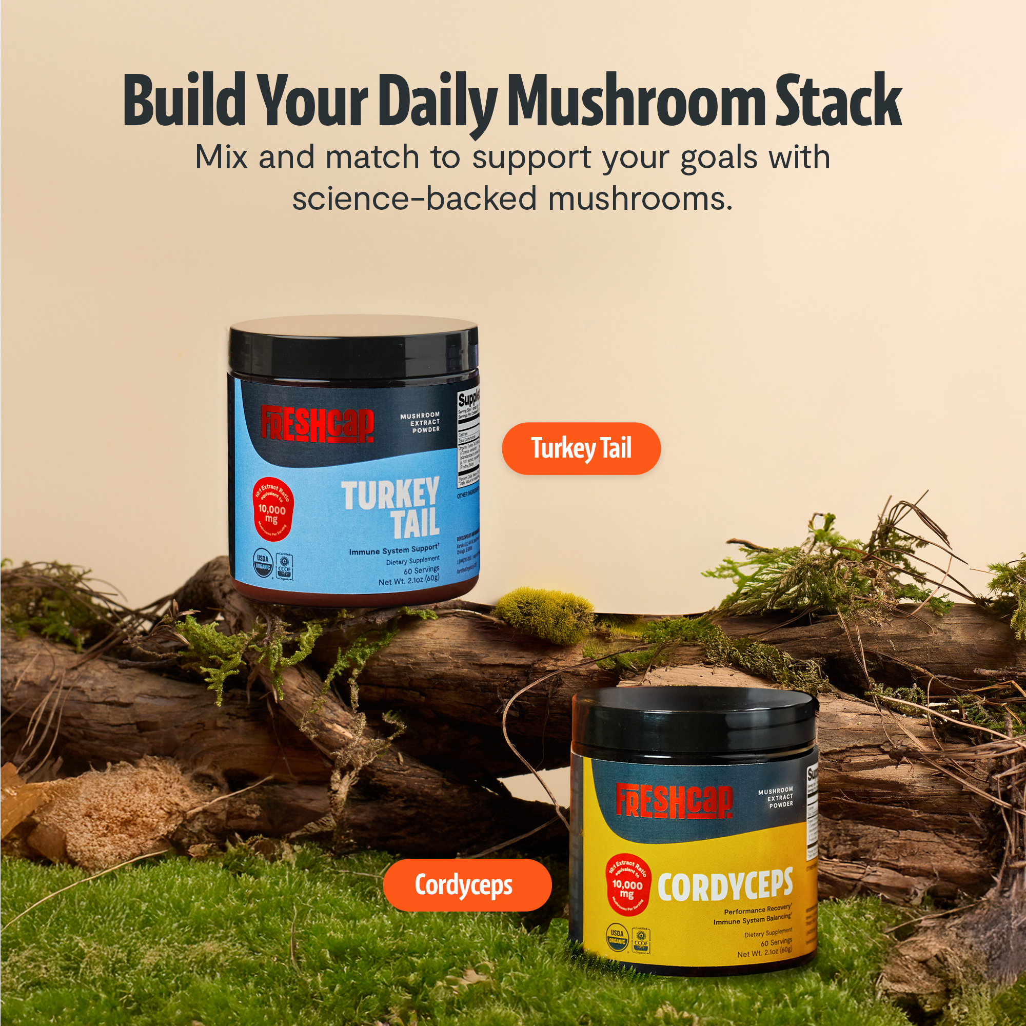 Organic Turkey Tail Mushroom Powder