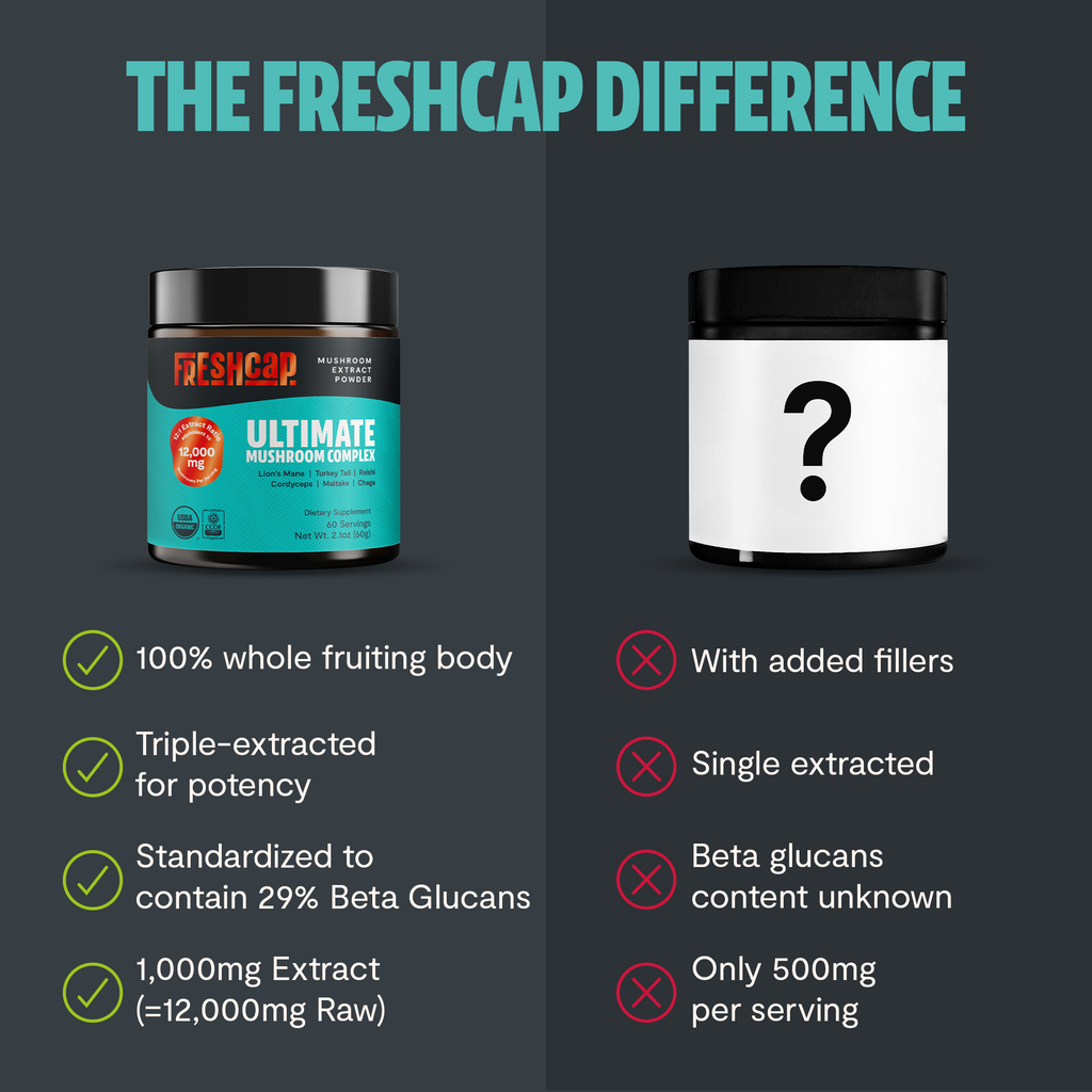 Organic Mushroom Extract Powder Blend