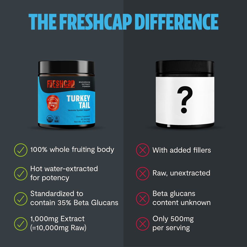 Organic Turkey Tail Mushroom Powder